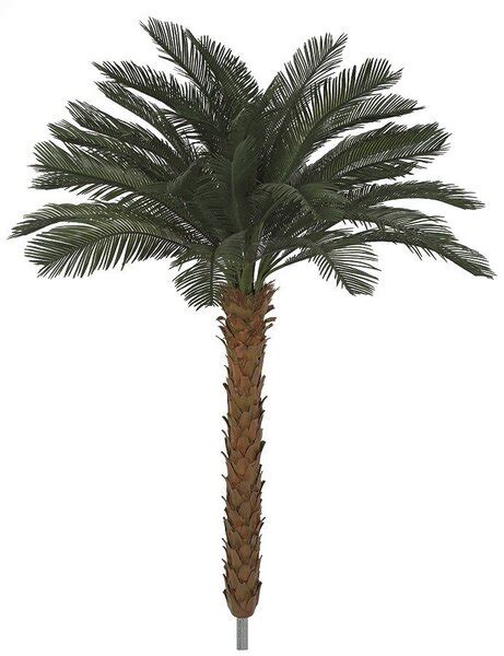 Earthflora Outdoor Tropical Palm Trees Artificial Outdoor Palm Tree