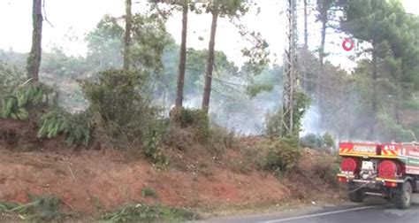 Karadan ve helikopterle havadan yapılan müdahale neticesinde, yangın saat 13.30 itibariyle. Beykoz'da ormanlık alanda korkutan yangın