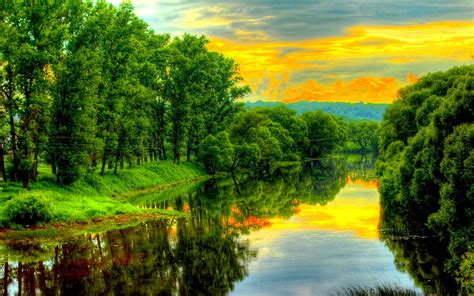 Green Trees Reflected In River