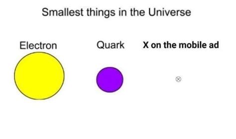 The Smallest Things In The Universe 9gag
