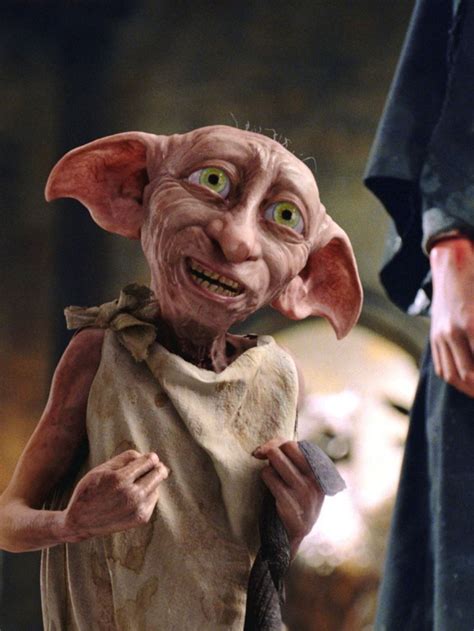 Harry Potters Dobby Spotted On Cctv Camera Outside A Womans House