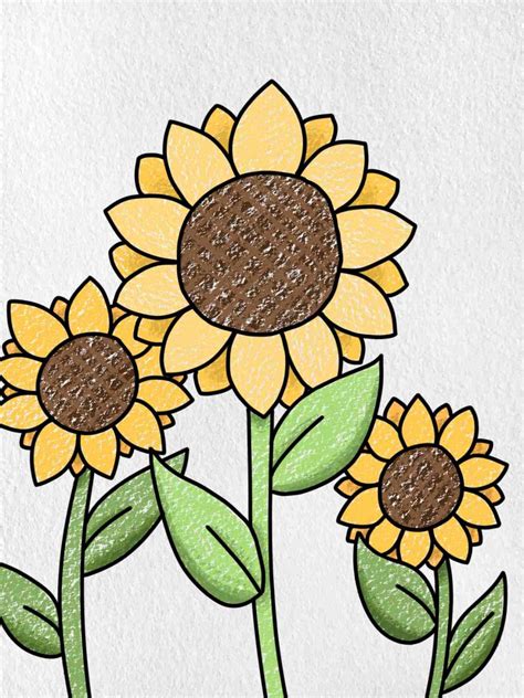 How To Draw Sunflowers Ford Ight1942