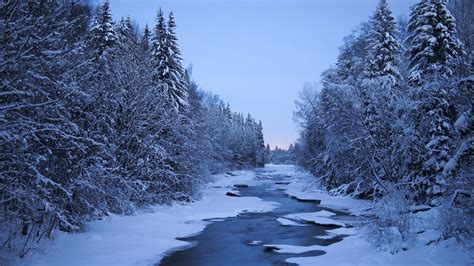Finland Rivers Winter Forests Snow Trees Nature