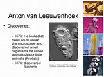 The genius of Antoni van Leeuwenhoek cell theory and his microscope ...