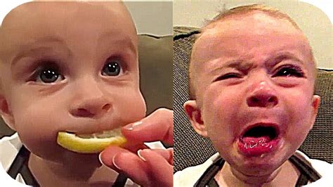 Cute Funny Babies Eating Lemons For The First Time Compilation Part