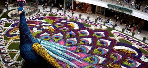 Festival Dei Fiori Medellin Feria De Las Flores 2023