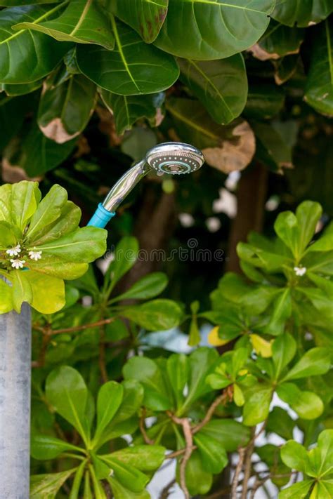 Outdoor Shower At Swimming Pool Shower Cabins Behind Outdoor Swim Pool