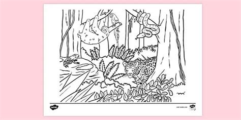 Animal Habitats Coloring Pages