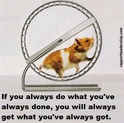 Escape The Hamster Wheel Of Life