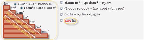 Cara konversi dari hektar ke meter persegi. 1 hektar berapa m2 | 1 Hektar Berapa Meter? Konversi ...