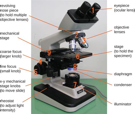 31 How Microscopes Work Biology Libretexts
