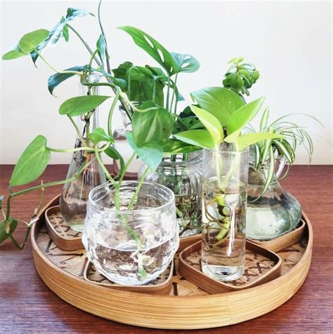 Attractive Indoor Water Garden Ideas For Enjoy Your Time 35 Homyracks