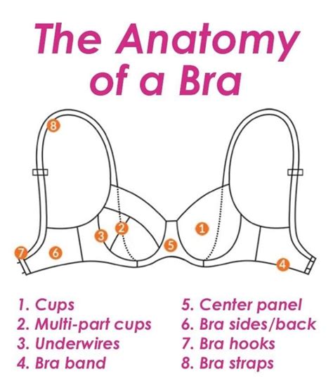 The Ultimate Guide To Buying Wearing And Caring For Bras Fitness