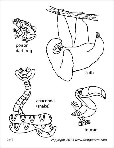 Tropical Rainforest Animals Coloring Pages Sketch Coloring Page