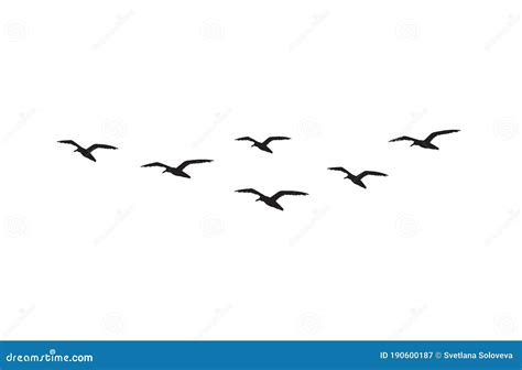 Vector Flying Seagull Birds Flock Silhouette Royalty Free Stock