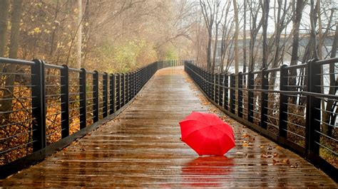 4k Umbrellas Wallpapers High Quality Download Free