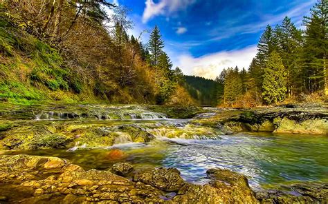 Stream | Stream Of Flow, beauty, forest, mountain, stream 