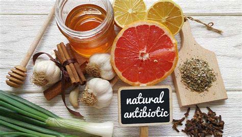 11 All Natural Antibiotics San Francisco Read Our Chiropractic Blog