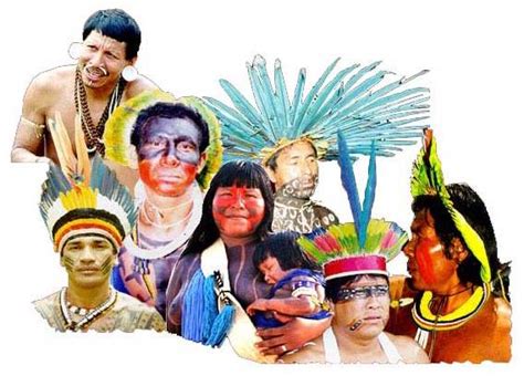 Áreas Culturales Indígenas De Venezuela Todo Lo Que Necesita Saber