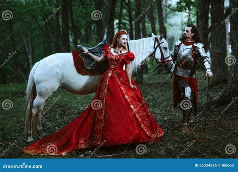 Medieval Knight With Lady Stock Image Image Of Hair 66334585