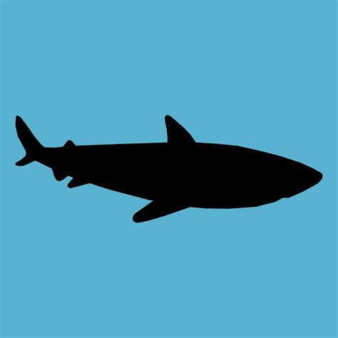 Shark Silhouette Free Stock Photo Public Domain Pictures