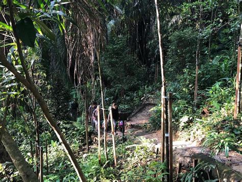 Yesterday, i went around the amazing taman tugu forest trails in kuala lumpur, malaysia. Hit the Jungle: Taman Tugu Forest Trails - Dennis G. Zill