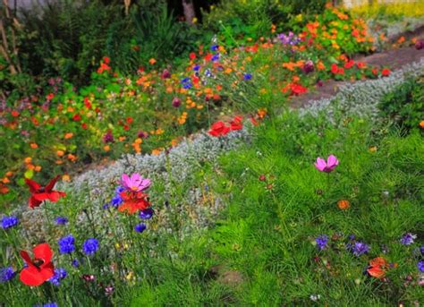 How To Make A Wildflower Garden Bed Garden Design Ideas
