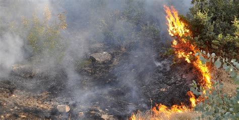 Jun 17, 2021 · waldbrand in olpe (nrw) zeigt, wie brenzlig die lage in deutschen forstbeständen ist. ANF | Waldbrand in Metîna durch türkisches Militär entfacht