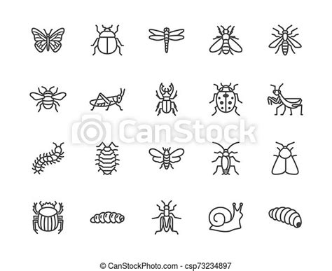 Insect Flat Line Icons Set Butterfly Bug Dung Beetle Grasshopper