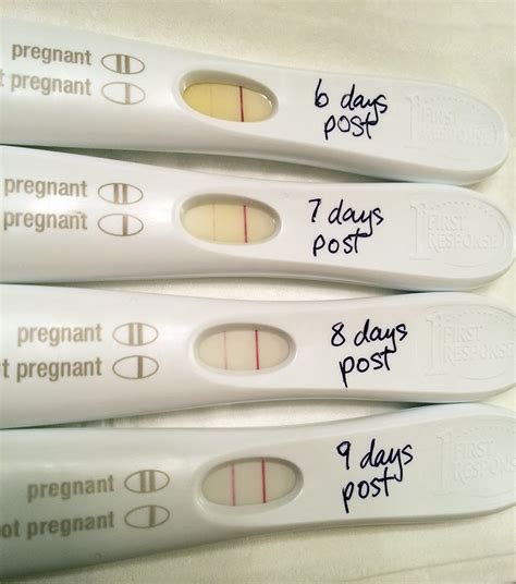 7 Weeks Pregnant Symptoms Dizzy Having A Baby Past 40 000