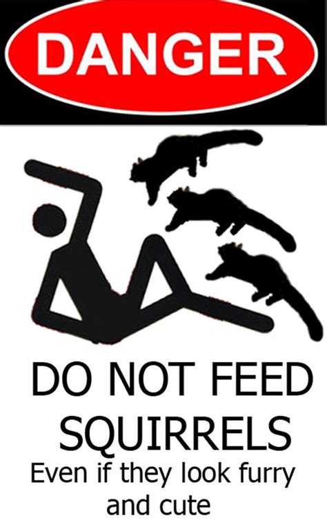 Do not feed the animals sign. Do Not Feed Squirrels by hosmer23 on DeviantArt