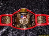 [: FTWiki :] / FTW United States Heavyweight Championship
