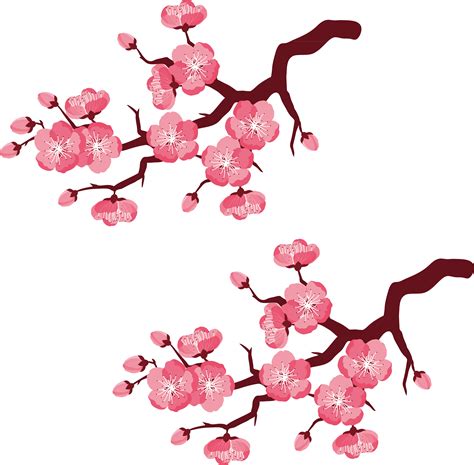 Cherry Blossom Branch Vector At Getdrawings Free Download