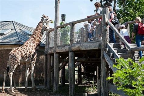 Best Zoos In The World 2023 Top 10 Infomademen