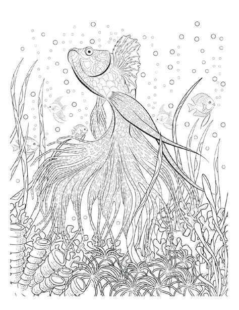 Turn Image Into Coloring Page at GetColorings.com | Free printable colorings pages to print and