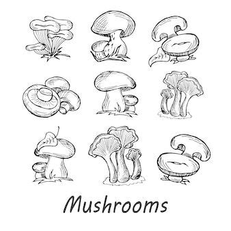 Premium Vector Sketch Mushrooms Autumn Edible Mushroom Healthy Food