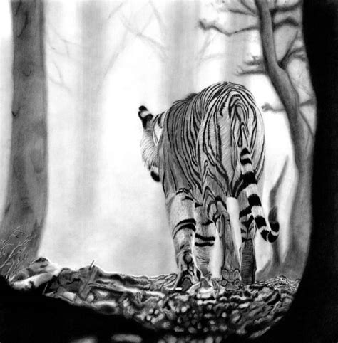 Into The Mist Drawing By Paul Stowe Artmajeur