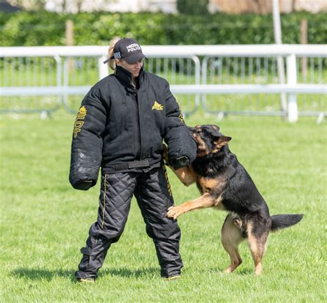 Dog Attack Training Equipment Elite K 9 Inc Dog Bite Suit In K 9