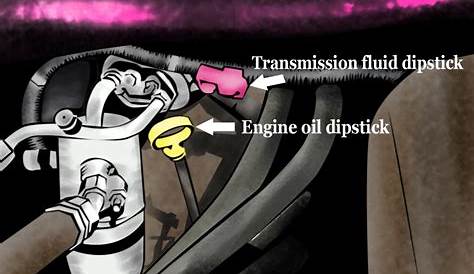 How to Replace Transmission Fluid | YourMechanic Advice