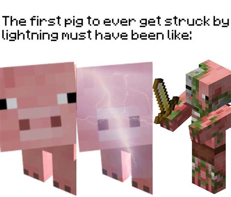 Zombie Pigman Rminecraftmemes Minecraft Know Your Meme