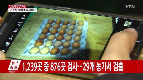 살충제 달걀 23개 농가서 추가 검출 YTN 동영상 Dailymotion