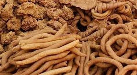 Kuli Kuli How To Make The Northern Peanut Snack Pulse Nigeria