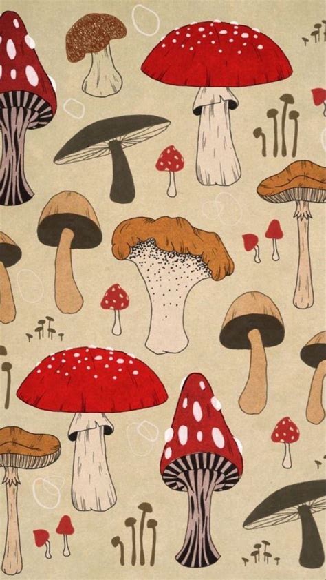 Kawaii Mushroom Wallpapers Top Free Kawaii Mushroom Backgrounds