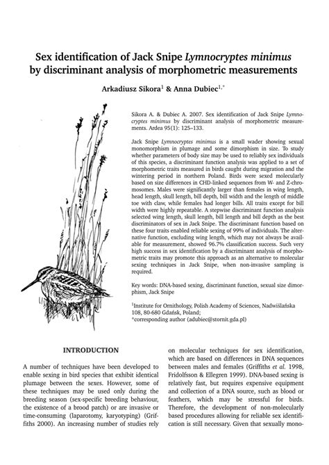 Pdf Sex Identification Of Jack Snipe Lymnocryptes Minimus By Discriminant Analysis Of