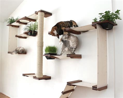 It's a way of making your cat feel a little safer in their home environment. Amazon.com : CatastrophiCreations Cat Mod Garden Complex ...