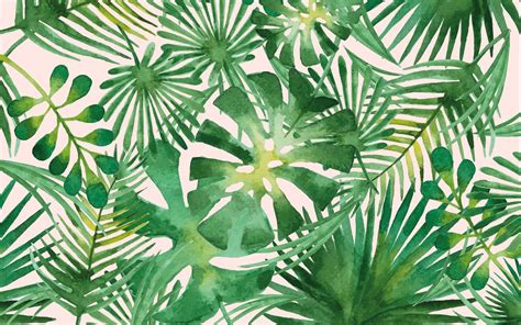 Green Tropical Leaves Desktop Wallpapers Wallpaper Cave