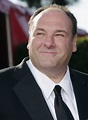 Where there's a will, there's a way: James Gandolfini dies
