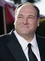 Where there's a will, there's a way: James Gandolfini dies