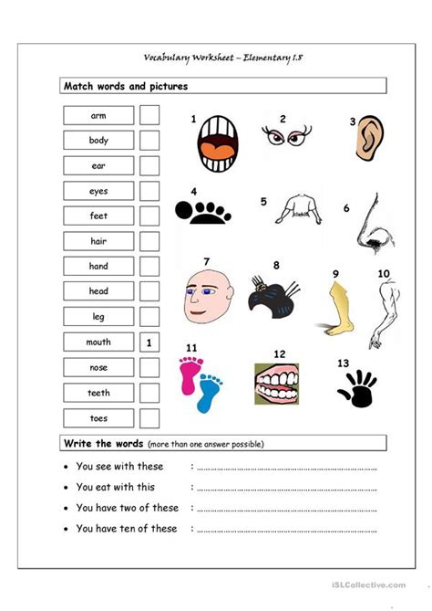 The body parts vocabulary builing worksheets contain 15+ pages of spelling worksheets body parts worksheets: Vocabulary Matching Worksheet - Elementary 1.8 (Body parts ...
