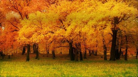 1366 X 768 Fall Wallpapers Top Free 1366 X 768 Fall Backgrounds